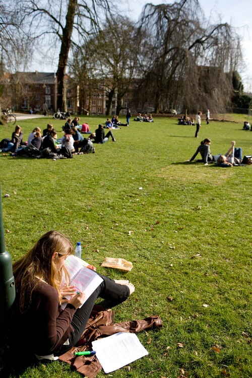 Studenten in het Stadspark van Leuven