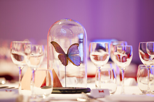 Eventorganisatie in M Leuven