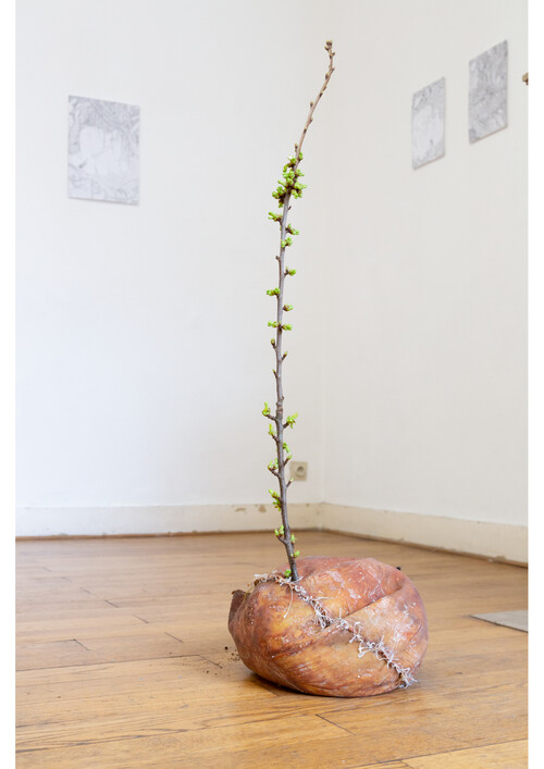 Kunstwerk van M-resident Tom Hallet