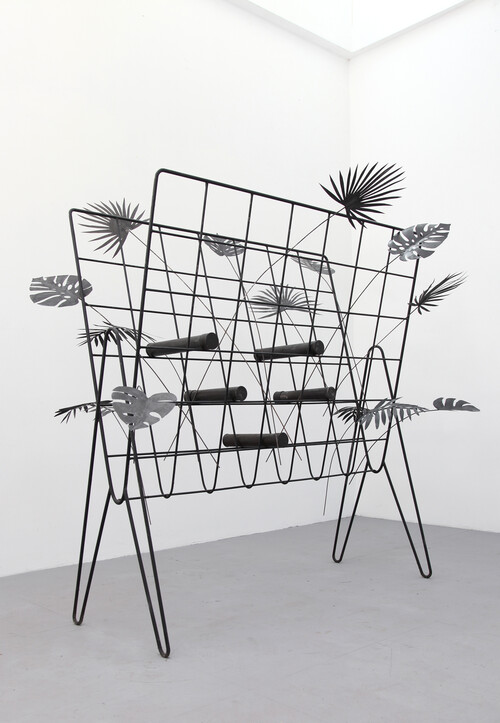 ‘Tropical Archive’, Paul Casaer, 2020