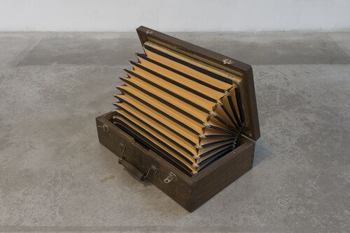 Cash Cow, Gerard Herman, 2022, Cera-collectie bij M Leuven, foto: de kunstenaar, courtesy Waldburger Wouters