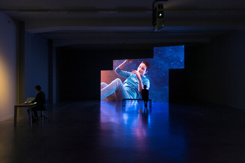 Potentiality for Love, Eija-Liisa Ahtila