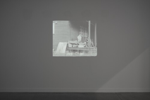 Jessica Warboys, Shaded Wood (still) 2014 courtesy Gaudel de Stampa, Parijs © M-Museum Leuven | foto: Isabelle Arthuis