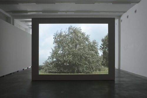 Installatiezicht David Claerbout, Boom, Tree, Arbre, 1996 (still) © M-Museum Leuven | foto: Isabelle Arthuis