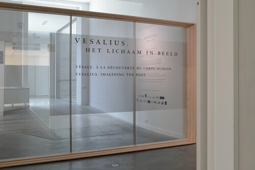 Installatiezicht Vesalius © M-Museum Leuven | foto: Dirk Pauwels