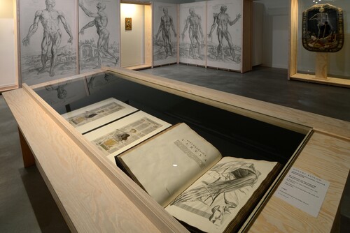 Installatiezicht Vesalius © M-Museum Leuven | foto: Dirk Pauwels