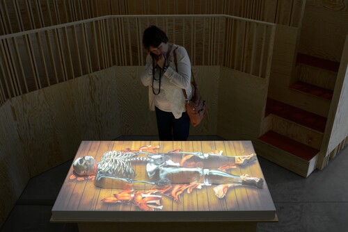 Installatiezicht Vesalius © M-Museum Leuven | foto: Dirk Pauwels