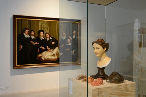 Installatiezicht Vesalius © M-Museum Leuven | foto: Dirk Pauwels