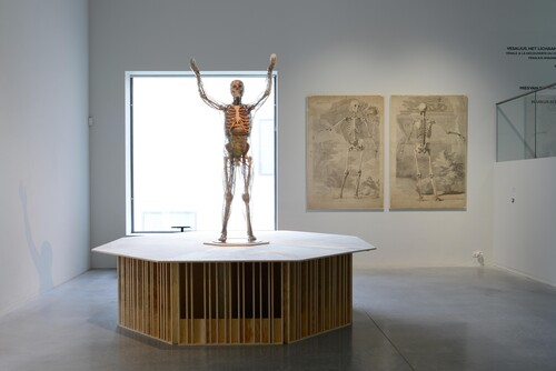 Installatiezicht Vesalius © M-Museum Leuven | foto: Isabelle Arthuis