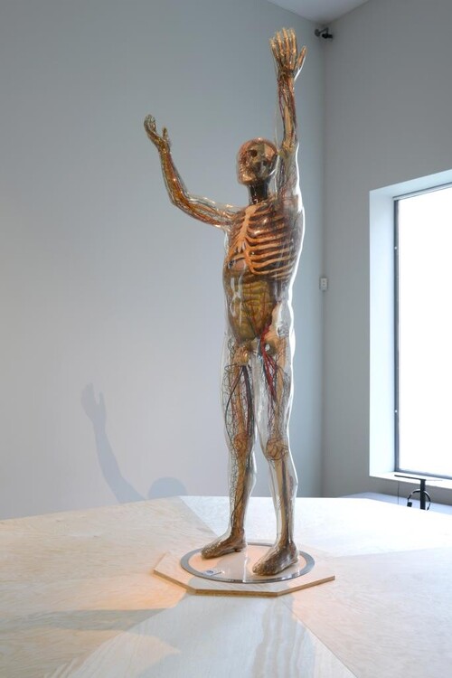 Installatiezicht Vesalius © M-Museum Leuven | foto: Dirk Pauwels