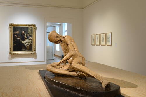 Installatiezicht Vesalius © M-Museum Leuven | foto: Dirk Pauwels