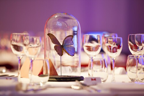 M-fundraisingdiner 2017 © Thomas Richard