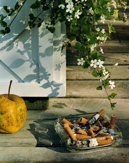 Apple and cigarettes, 2004, Roe Ethridge