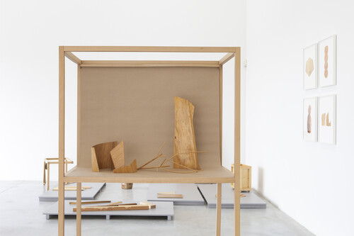 Installation view from the exhibition ‘Béatrice Balcou’ in M Leuven, 2019 | Photo © Miles Fischler