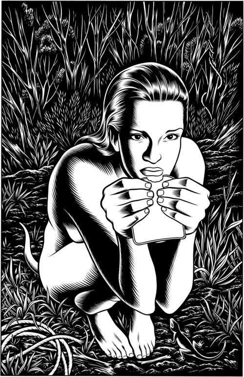 Black Hole (detail), Charles Burns
