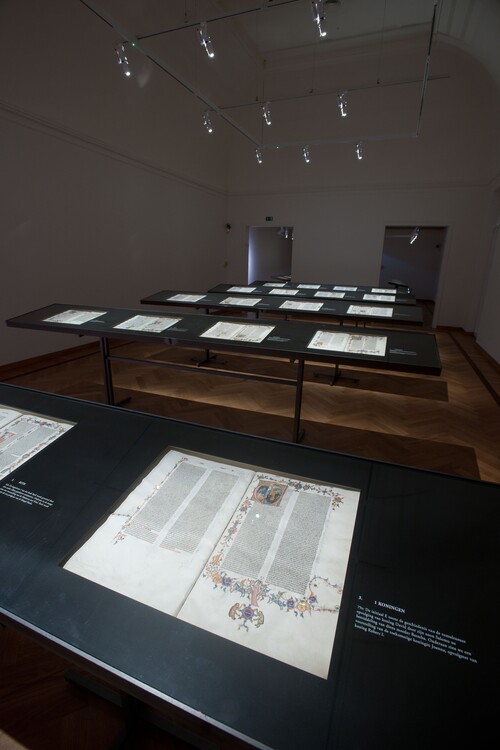 Installatiezicht Bijbel van Anjou © M-Museum Leuven | foto: Bruno Vandermeulen
