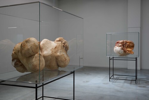 Installatiezicht Peter Buggenhout, Eskimo Blues II, 1999 & Opeten, 2000 © M-Museum Leuven | foto: Dirk Pauwels