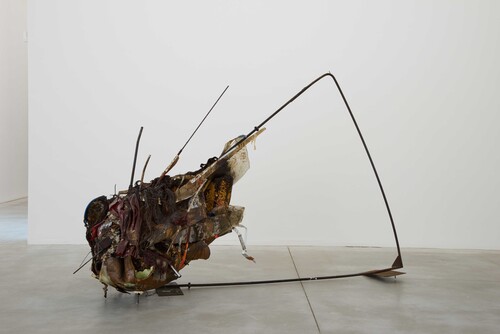 Installatiezicht Peter Buggenhout, Gorgo #25, 2015 © M-Museum Leuven | foto: Dirk Pauwels