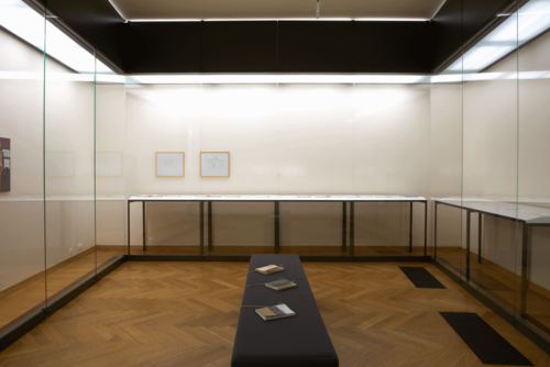 Installatiezicht Observaties, Tekeningen uit de Cera-collectie © M-Museum Leuven | foto: Dirk Pauwels
