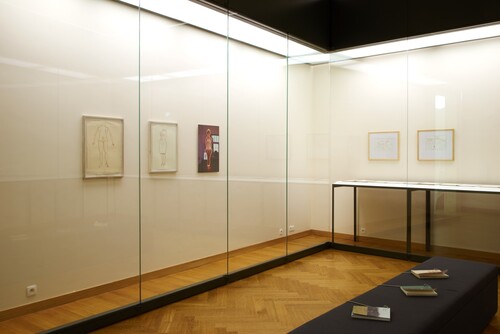 Installatiezicht Observaties, Tekeningen uit de Cera-collectie © M-Museum Leuven | foto: Dirk Pauwels