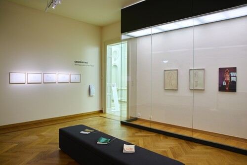Installatiezicht Observaties, Tekeningen uit de Cera-collectie © M-Museum Leuven | foto: Dirk Pauwels