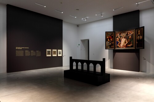 Installatiezicht Michiel Coxcie. De Vlaamse Rafaël © M-Museum Leuven | foto: Dirk Pauwels
