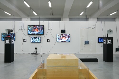 Installatiezicht Cécile B. Evans, Sprung a Leak © M-Museum Leuven | foto: Dirk Pauwels