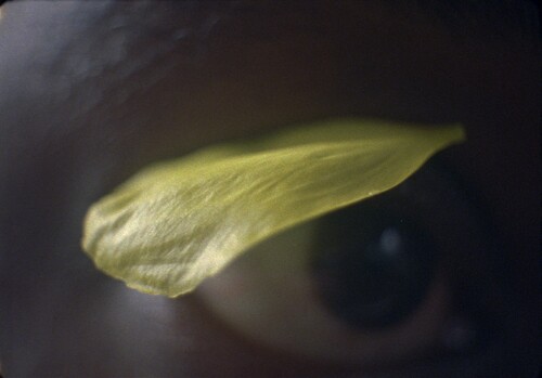 Gintaute_Skvernyte, frame_still_2