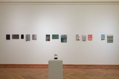 Bert Van Rossem, OPEN M (2013)
