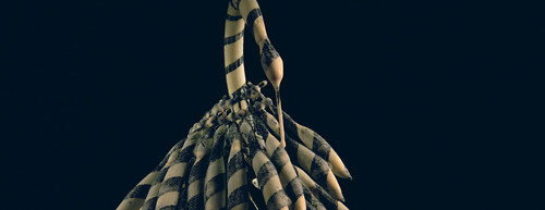 Saskia Olde Wolbers | Pareidolia (2011) film still | courtesy of maureen paley london and Galerie Diana Stigter Amsterdam