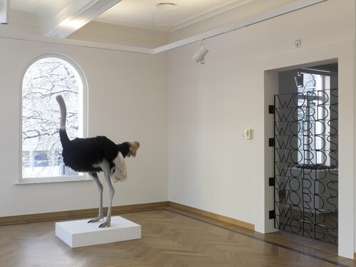 Installatiezicht David Shrigley © M-Museum Leuven | foto: Kristien Daem