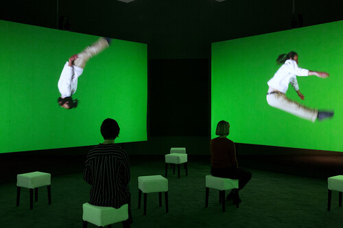 Studies on the ecology of drama, Eija-Liisa Ahtila