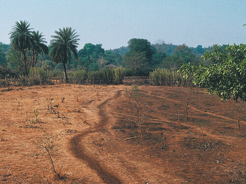 Richard Long, 'Footpath Waterline', India, 2003
