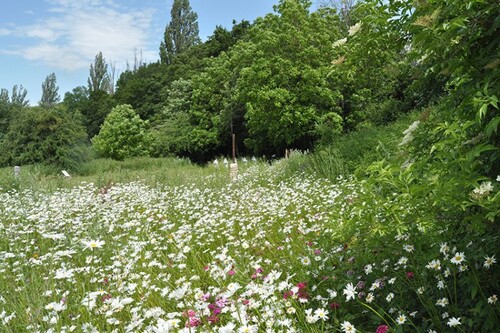 Kunstenpark Ijzerenberg