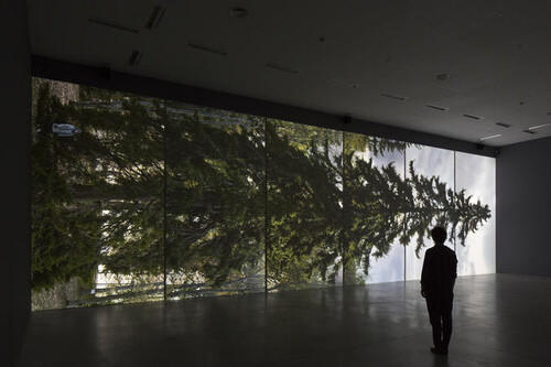Tentoonstelling van Eija-Liisa Ahtila in M Leuven