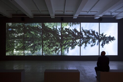 Tentoonstelling Eija-Liisa Ahtila in M Leuven