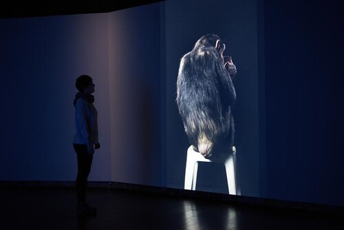 Tentoonstelling van Eija-Liisa Ahtila in M Leuven