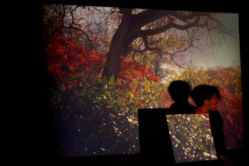 Evelien Cammaert, Glowachrome Garden 