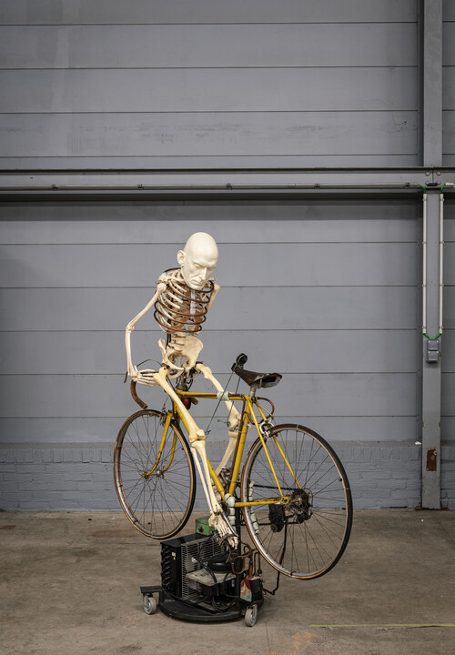 Werk van Johan Muyle in La Boverie, expo Private Views