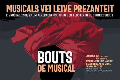 Promobeeld 'Bouts, de musical'