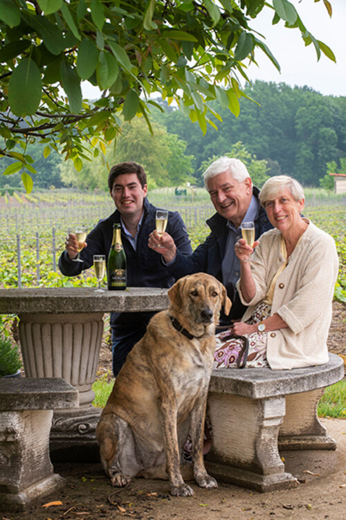 Chardonnay Meerdael