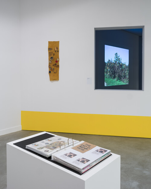 Installation view in expo 'Open M: Hidden in plain sight'