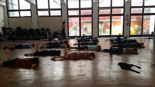 ‘Feldenkrais lesson’, Yael Davids, 2015