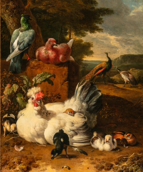 ‘Paysage avec un poulet, des poussins, des pigeons et des paons’